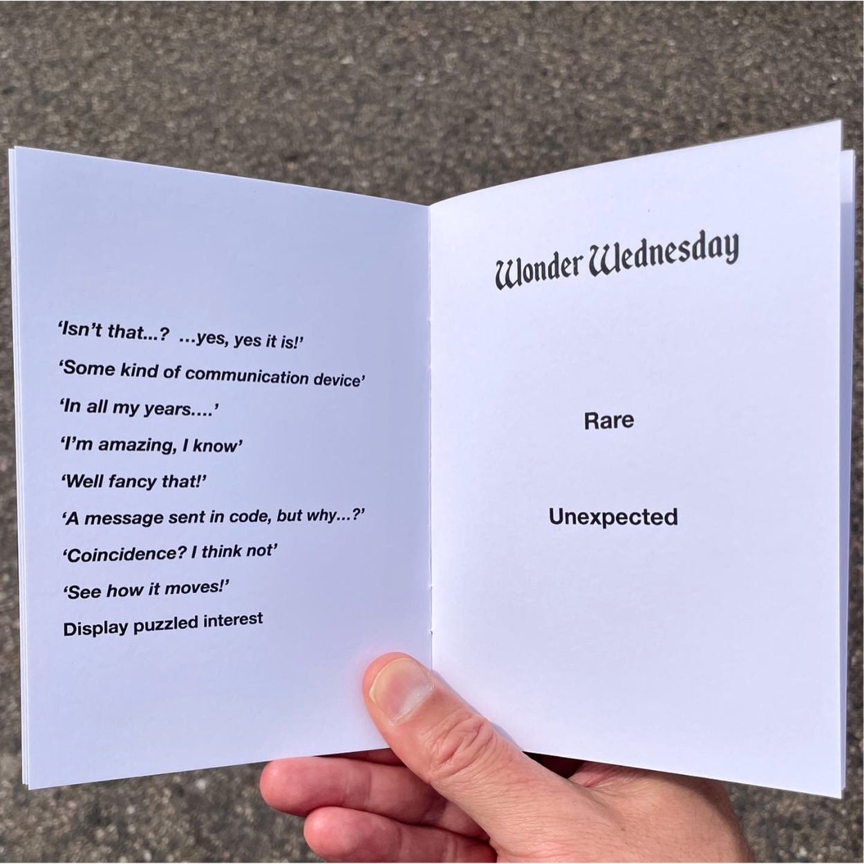 Daily Themes to Try with Friends and Family