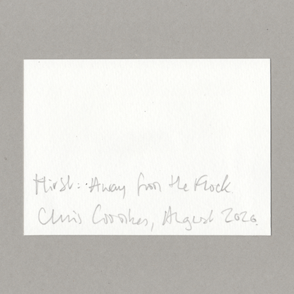 Original gouache painting by Chris Coombes, based on a postcard featuring Away from the Flock (1994) by Damien Hirst in the Tate collection. 
